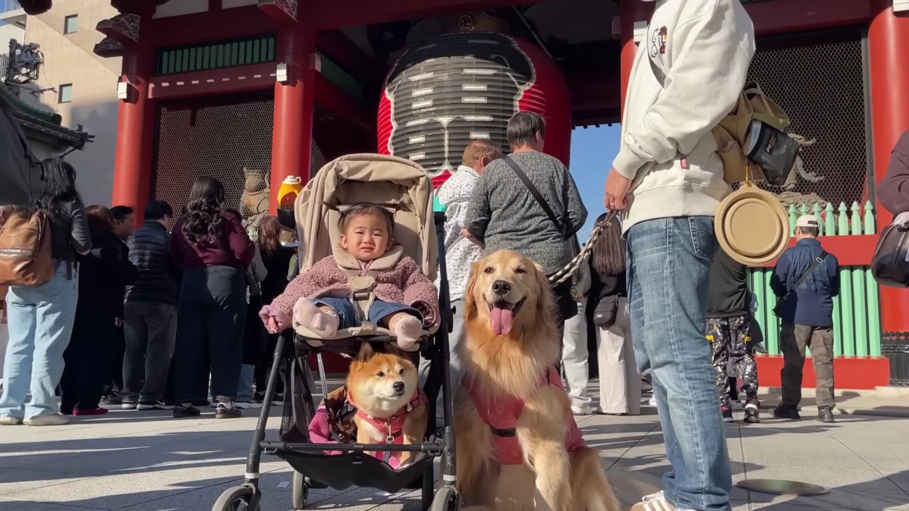 雷門を歩いたり…