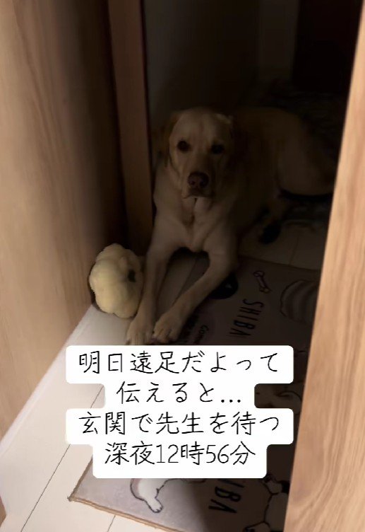 楽しみで眠れない…