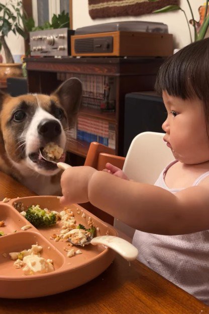 順番に食べようね