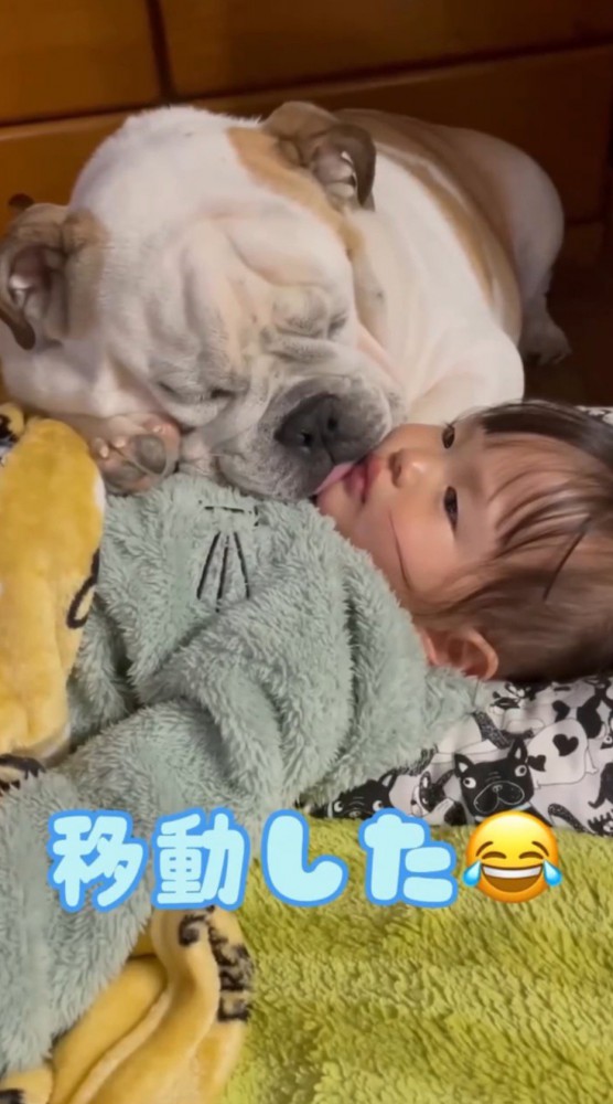 犬に体の上に乗られてジッとしている女の子