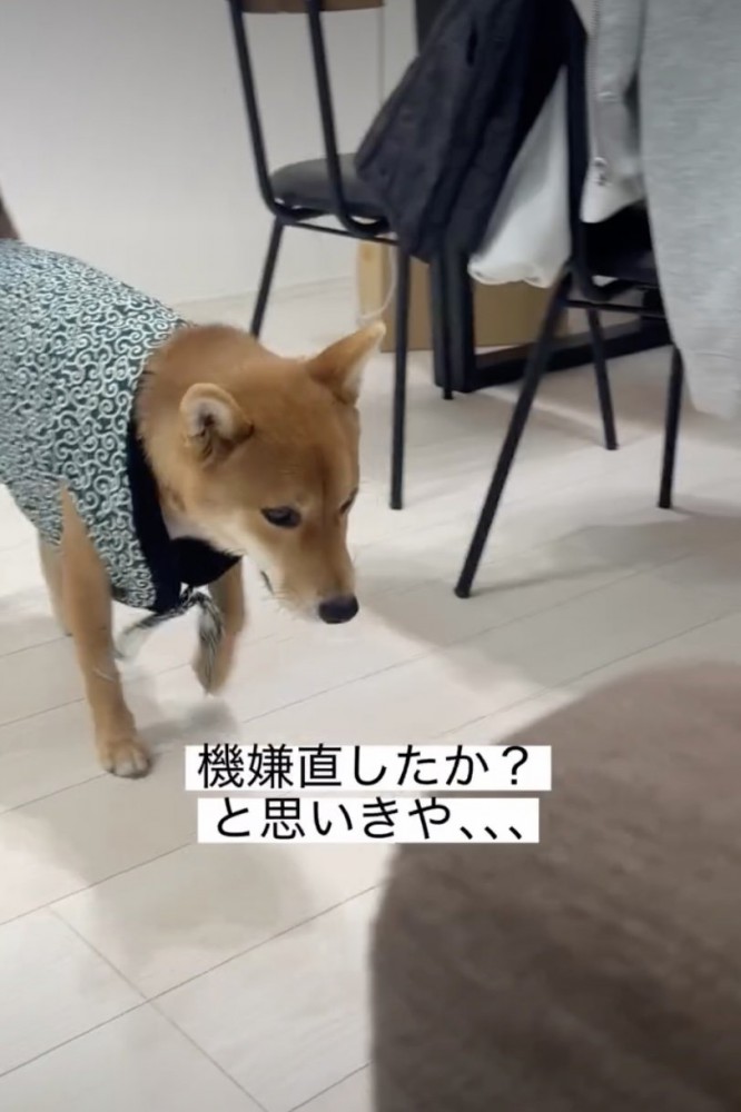 歩き始めたキャプテン