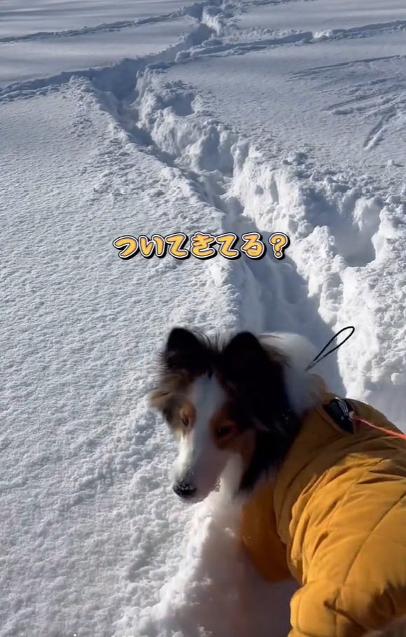 後ろを確認するさつまくん