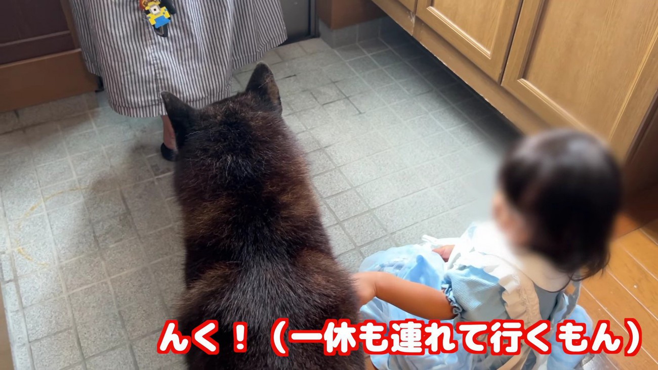 女の子も泣き出した…