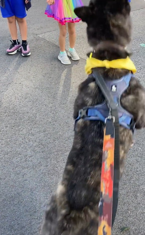 おやつをキャッチするオレオくん