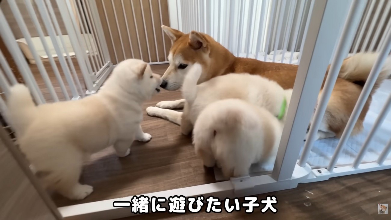 愛情を注がれながら、すくすく成長中♪