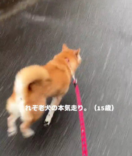 楽しいときは全力で！！