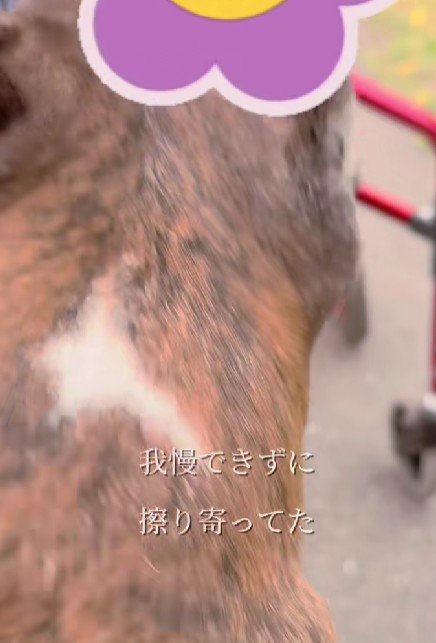 モエちゃんも甘えん坊に