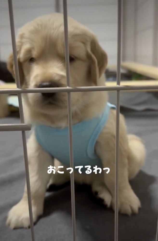右手を床にダンッ！
