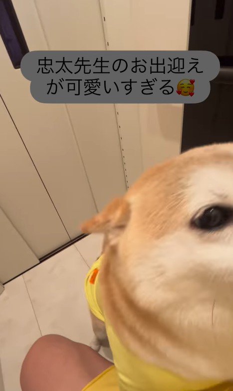 忠太くんの熱烈歓迎7