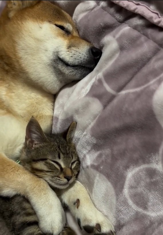 腕枕されるゆずくん