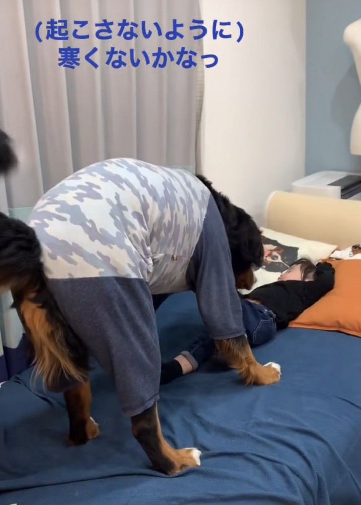 女の子の上半身も嗅いでチェックする大型犬