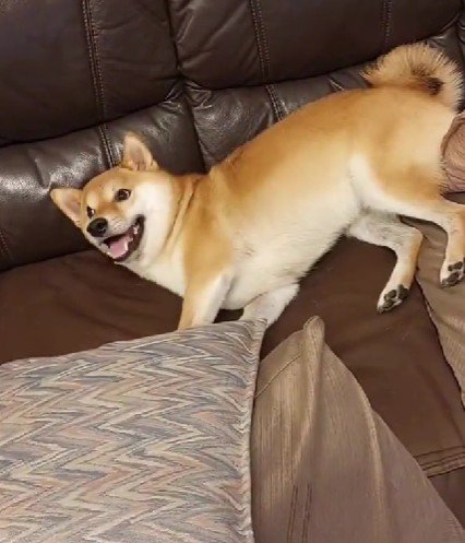 取扱説明書が役立った！！