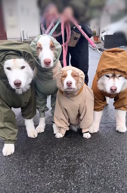 みんな嫌そう…！！