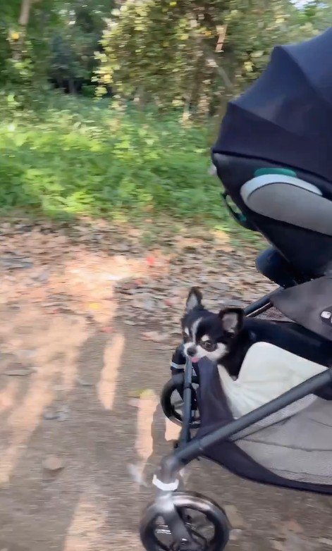 すずちゃんと赤ちゃん9