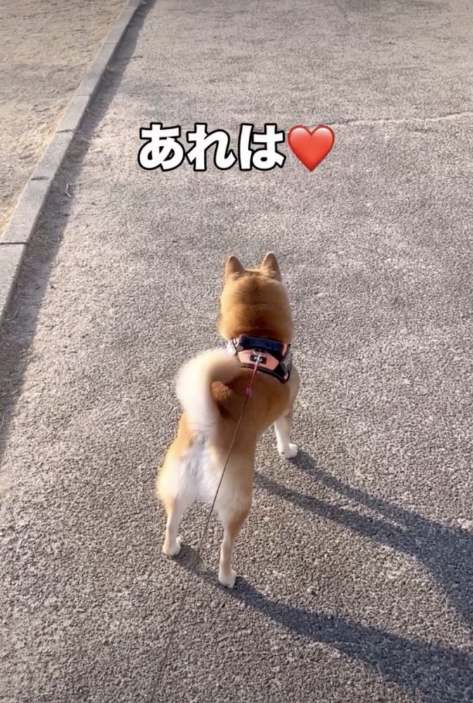 「初恋の男性」を発見！！