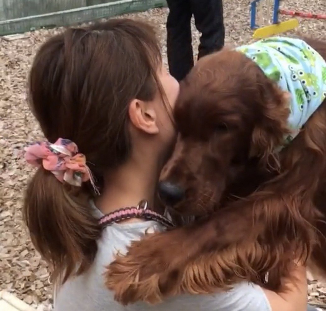 顔を寄せる犬
