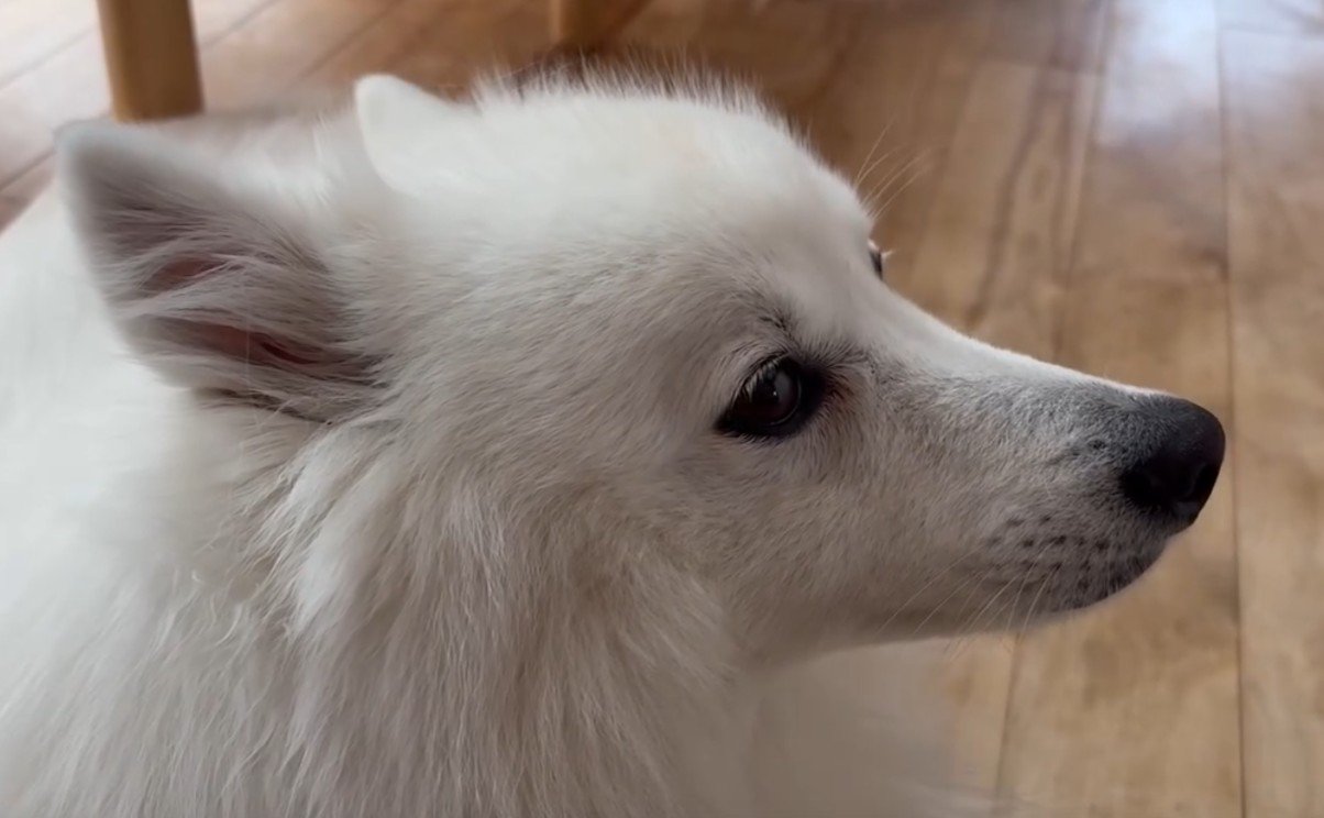 横顔がイケメン♡