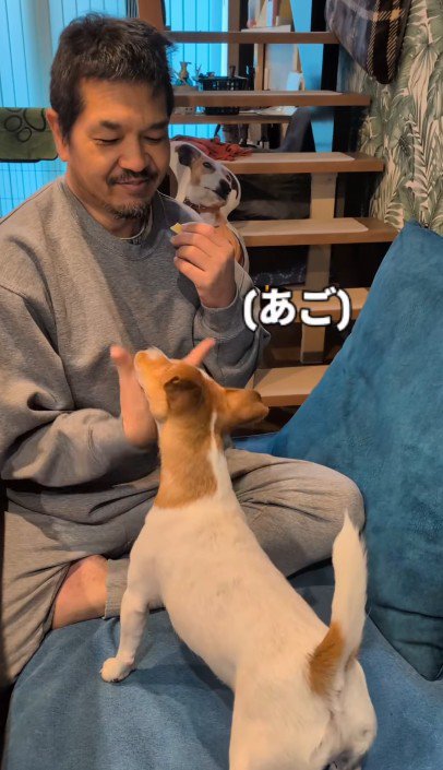 カイくんとのコミュニケーションは手話