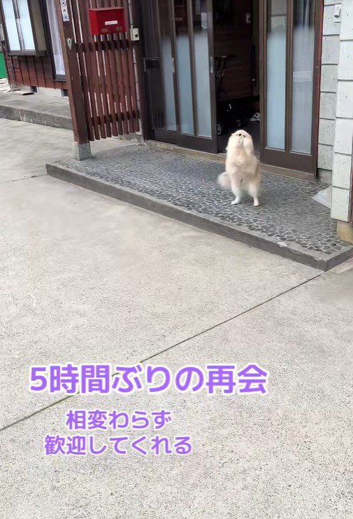 「おかえりなさい！」