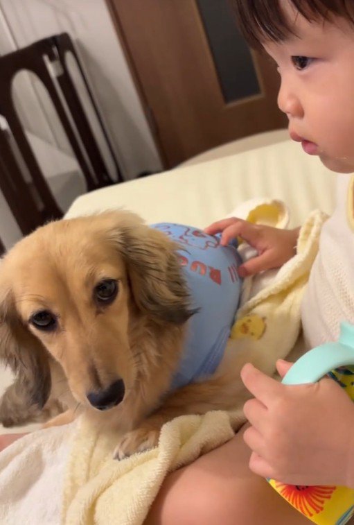 現在のサニーちゃんと赤ちゃん