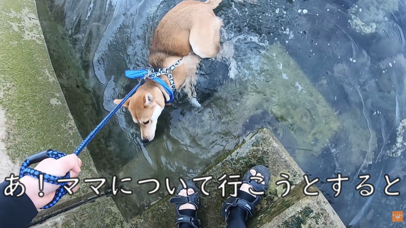 一瞬びっくり！