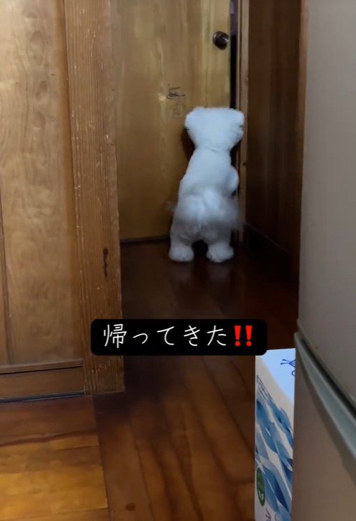 RAUくんの熱烈大歓迎2