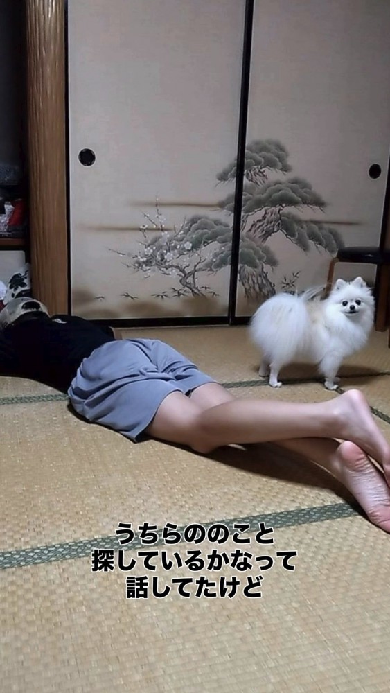 うつ伏せで寝転がる男の子とポメラニアン
