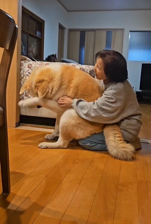 寒い日の朝の駄偉助くん4