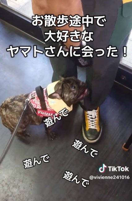 嬉しそうなヴィヴィちゃん