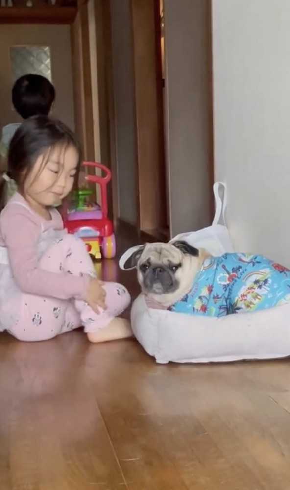 優しさしかない空間がここに