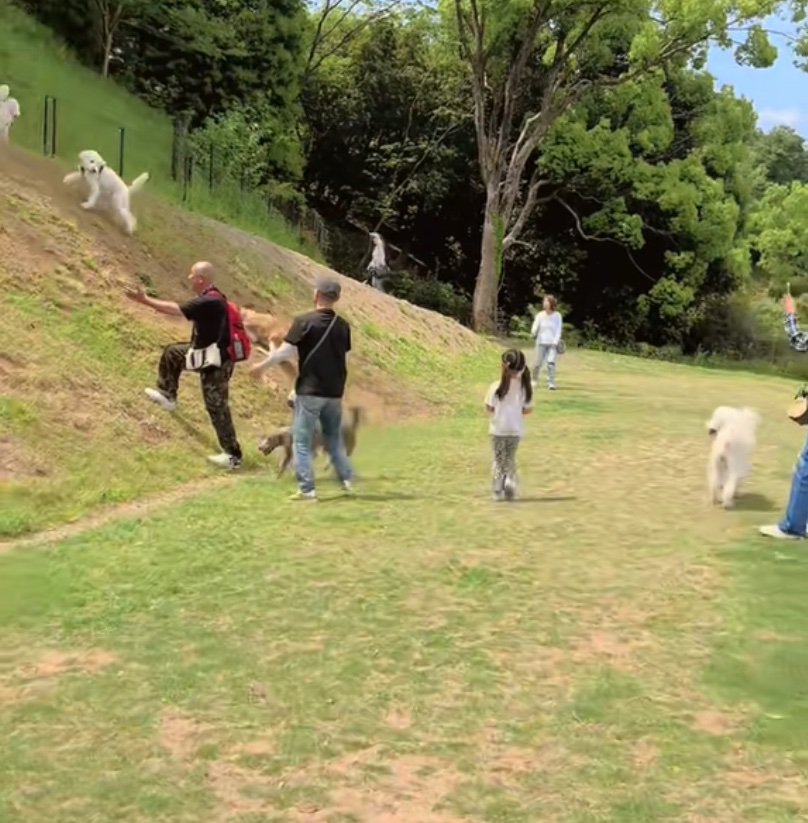 姿勢が不自然なおもちちゃん