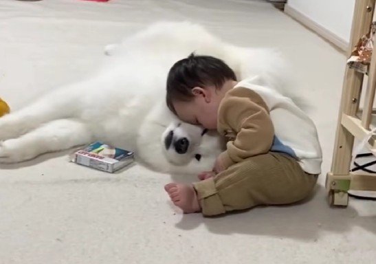 優しい対応に感動…
