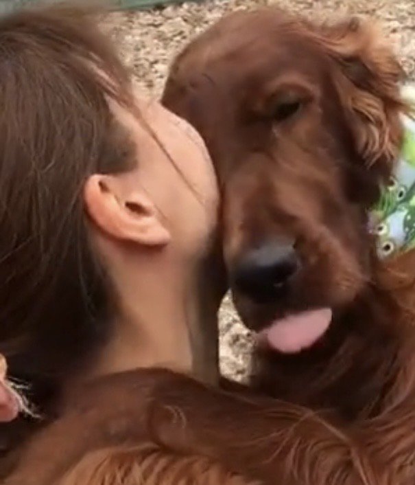 甘える犬