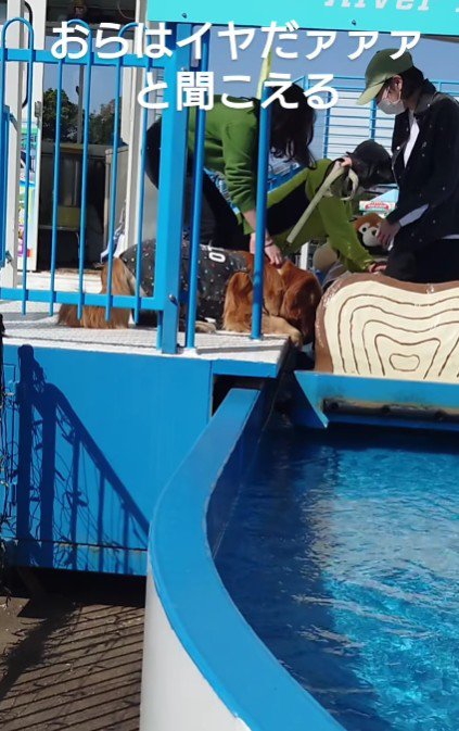 アトラクションを全力拒否！！