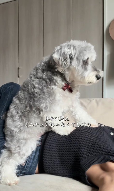 もなかちゃんの成長3