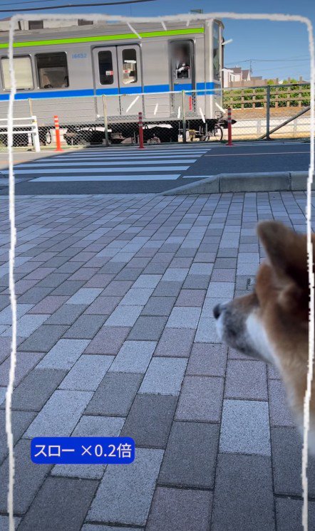 気付いた車掌さんが…