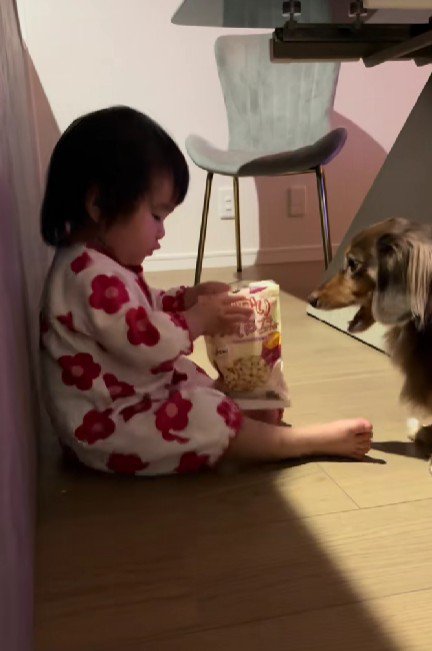 袋から取り出して…