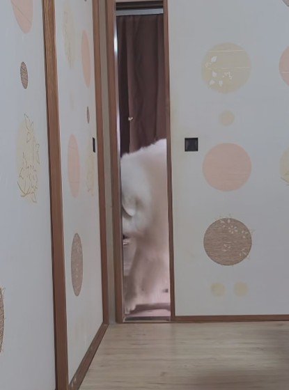 「もうちょっと待つしかない」