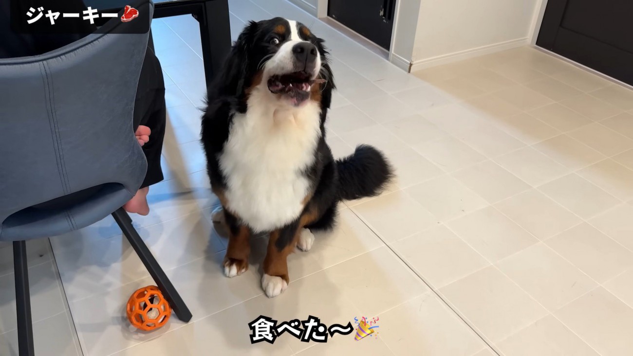 やっと食べ始めました♪