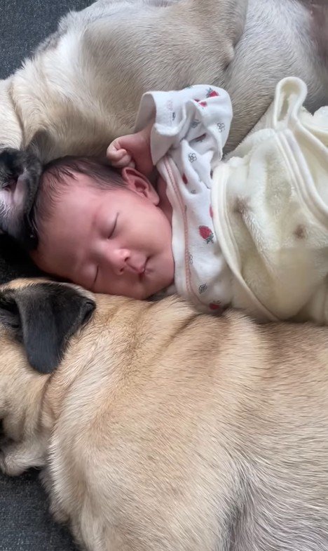 あぽ君とのえる君と赤ちゃん2