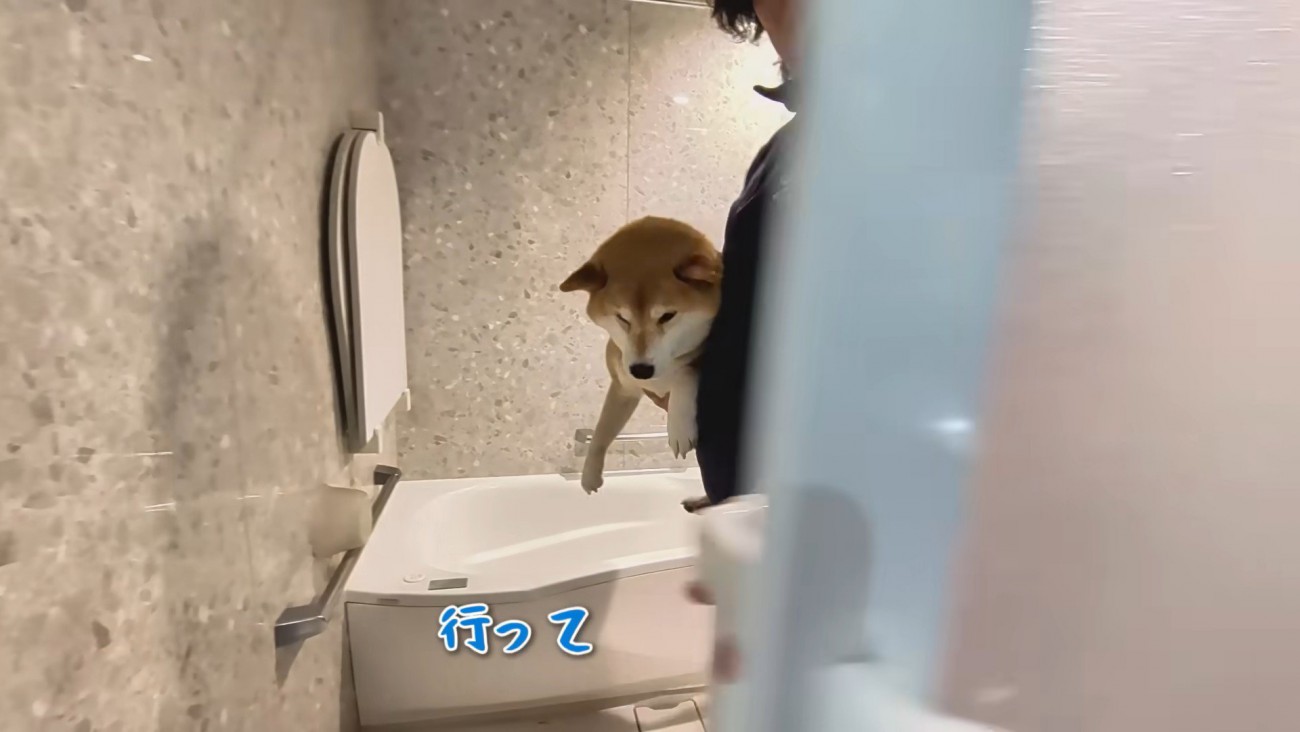 シャンプーをするスティーブくん3