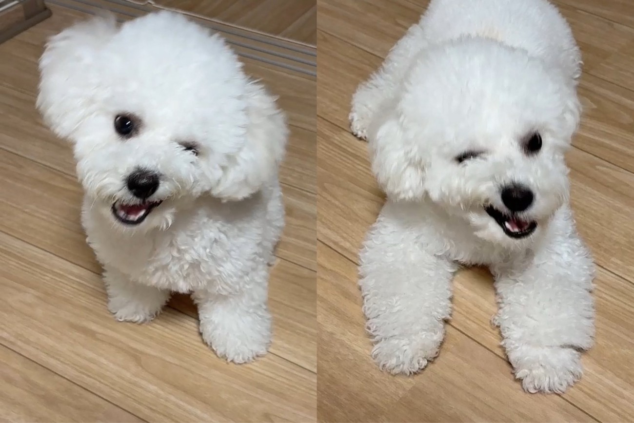 片目を瞑りながら