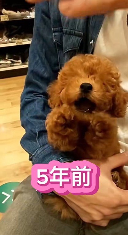 れおん君のビフォーアフター