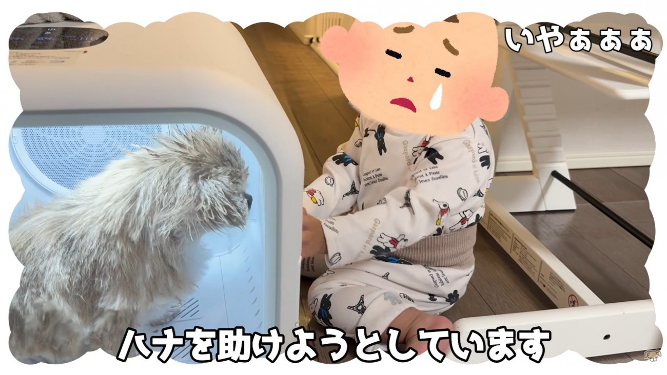 ハナちゃんの救出に失敗