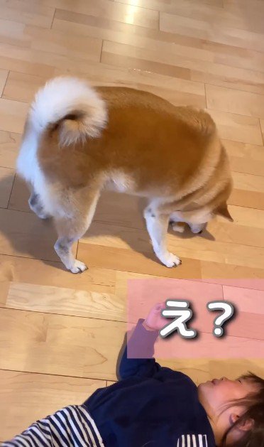 女の子も泣き止んだ！