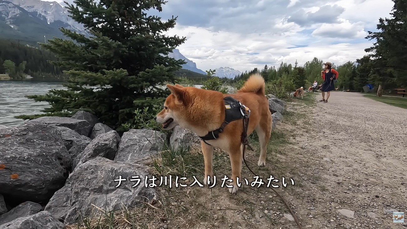 「川に入って遊びたいな～」