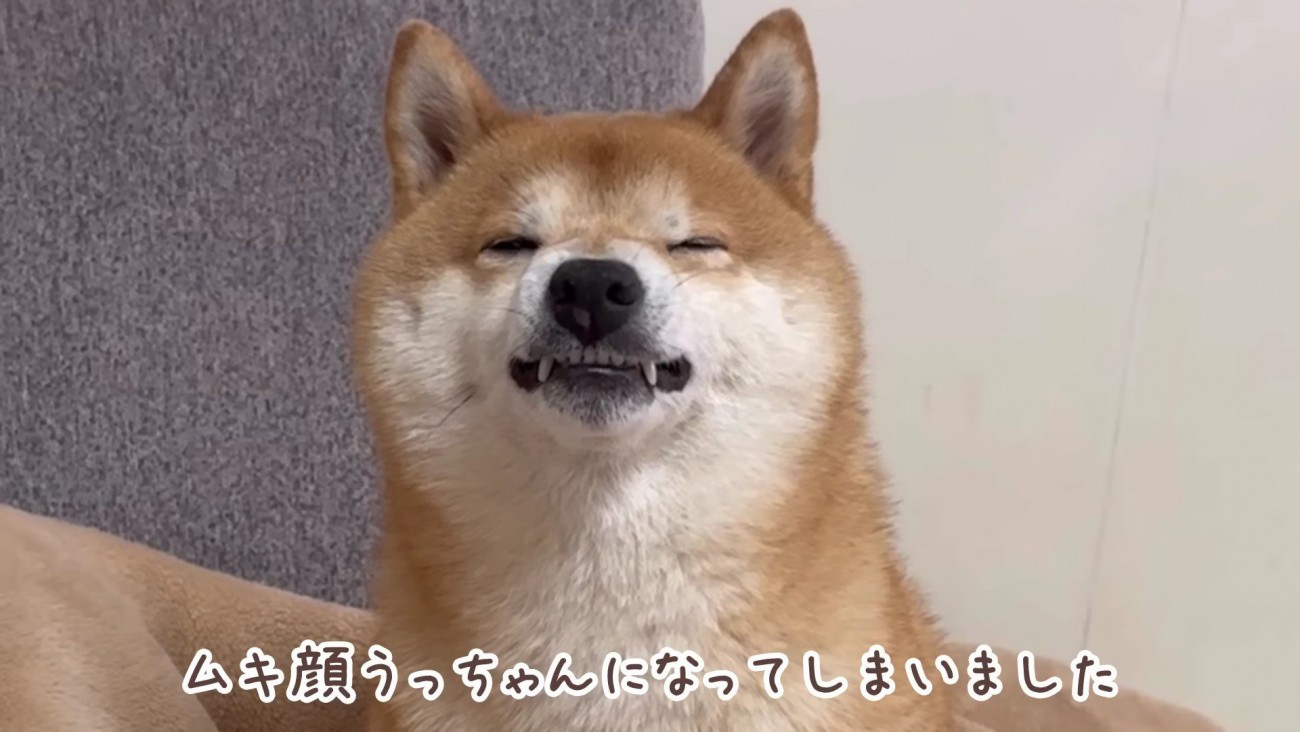 ムキ顔になってしまった…