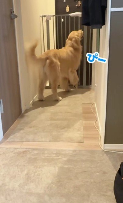 「まだ撫でてほしいよ～」