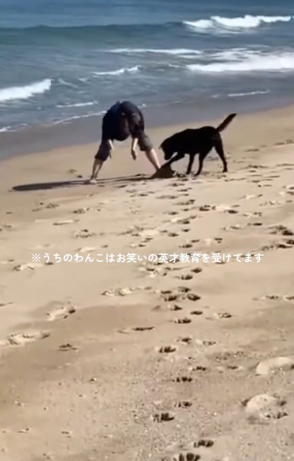 砂山を崩すロコくん