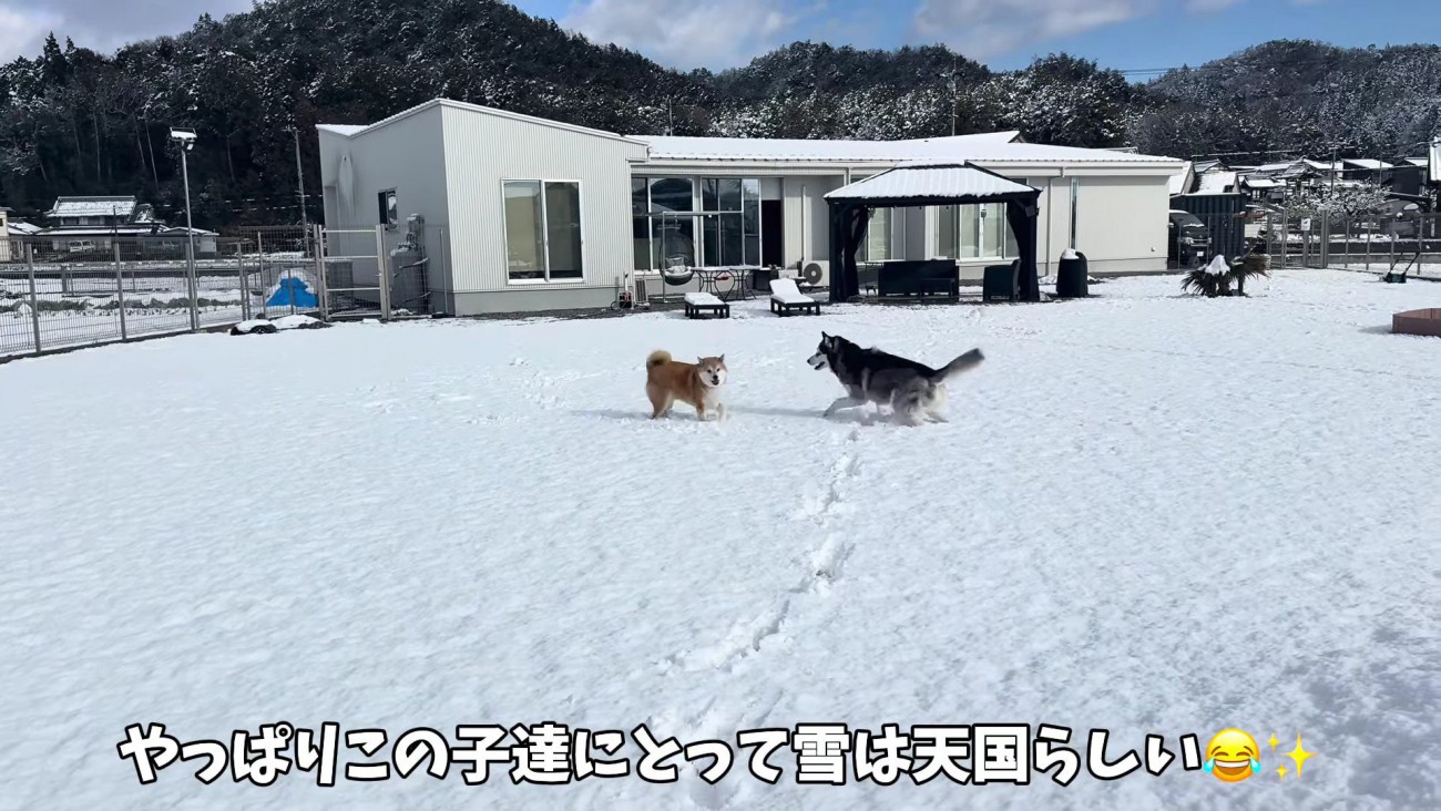 お庭で雪遊び！！